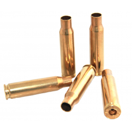 Čahure ARMSCOR .308 WIN 100/1