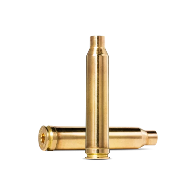 Čahure Norma kal .300 WIN.MAG. 100 kom